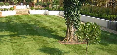 Perfect Turf - Lawn Turf Delivered or Fitted photo